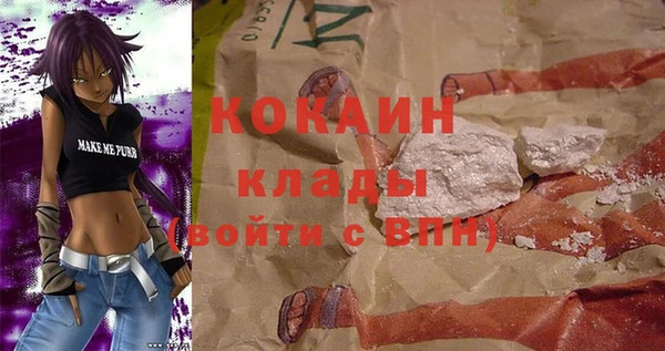 дживик Новодвинск