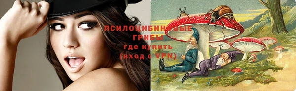 дживик Новодвинск