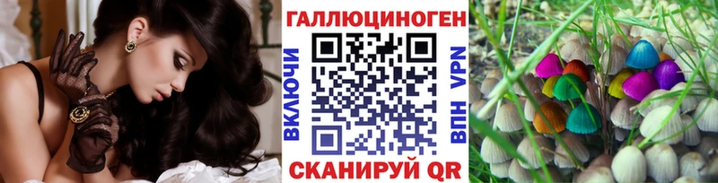 Галлюциногенные грибы Psilocybine cubensis  площадка состав  Талица 