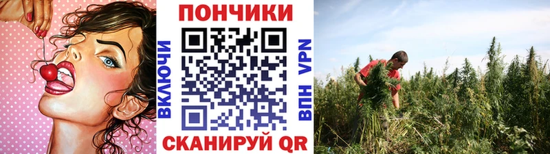 Канабис конопля Талица